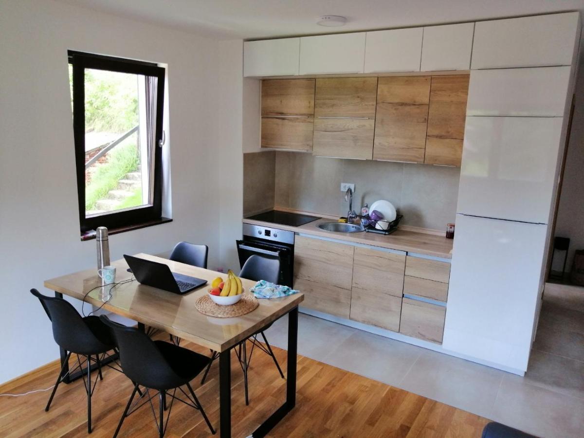 Vila Irina Kopaonik - Apartman Jovana Esterno foto