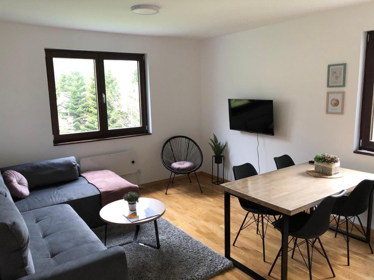 Vila Irina Kopaonik - Apartman Jovana Esterno foto