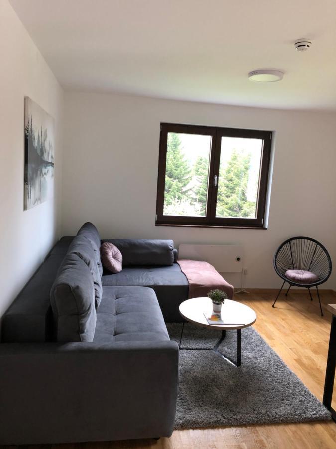 Vila Irina Kopaonik - Apartman Jovana Esterno foto