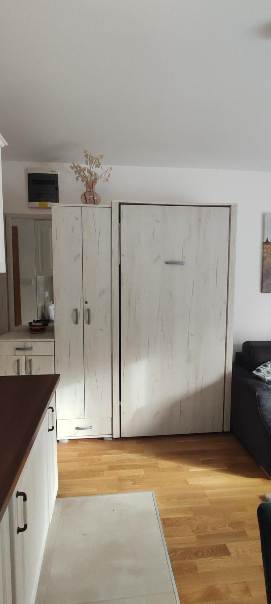 Vila Irina Kopaonik - Apartman Jovana Esterno foto