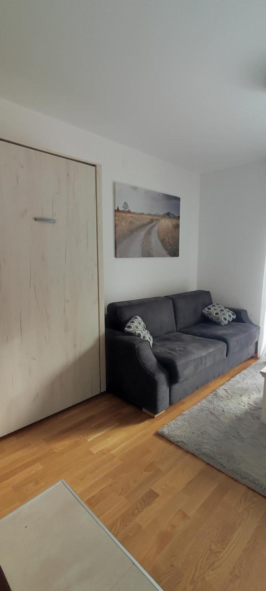 Vila Irina Kopaonik - Apartman Jovana Esterno foto