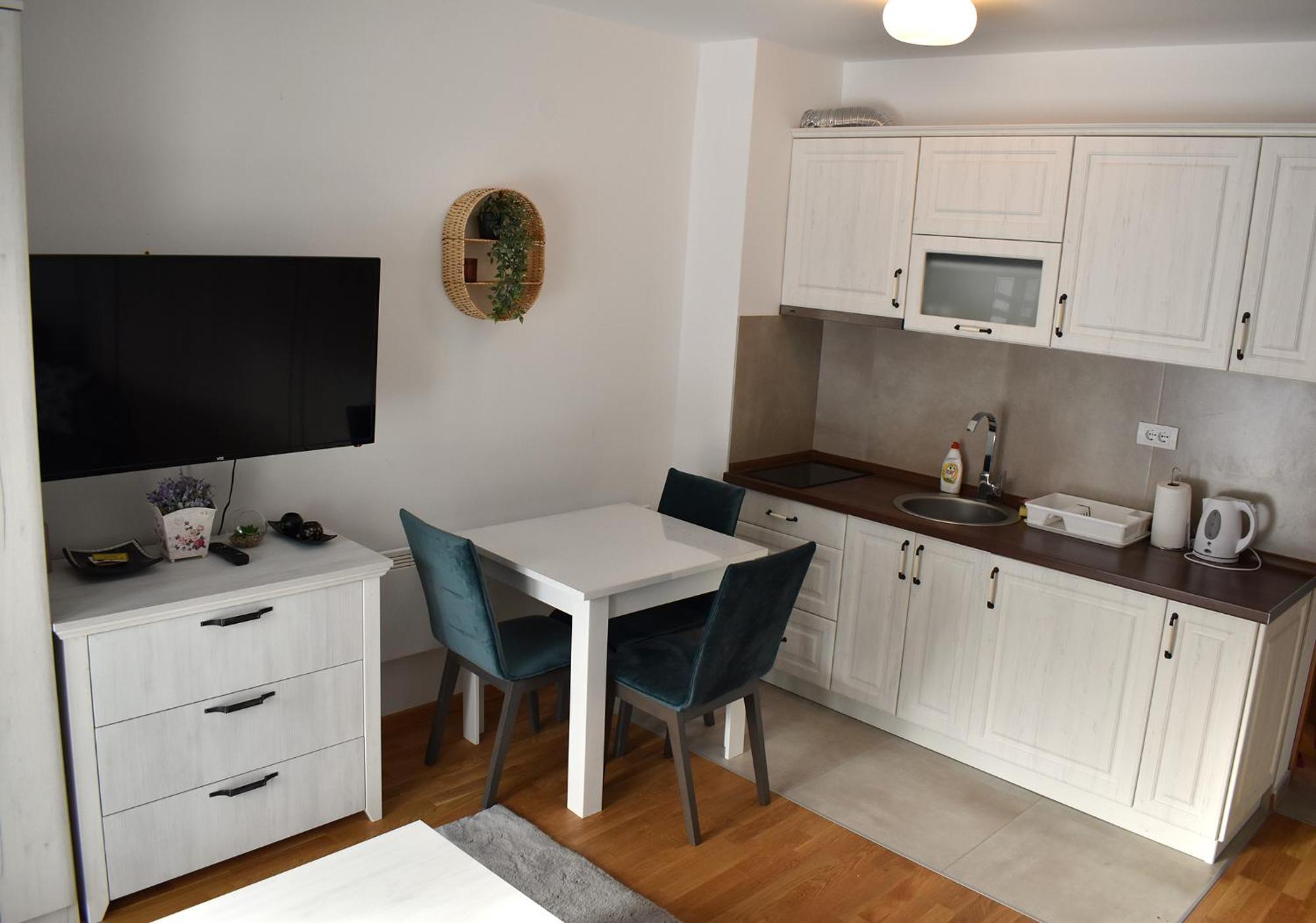 Vila Irina Kopaonik - Apartman Jovana Esterno foto